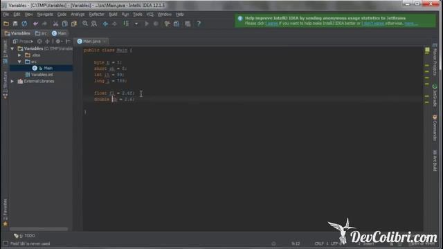 Java SE Урок 5 Переменные и примитивные типы данных смотреть онлайн