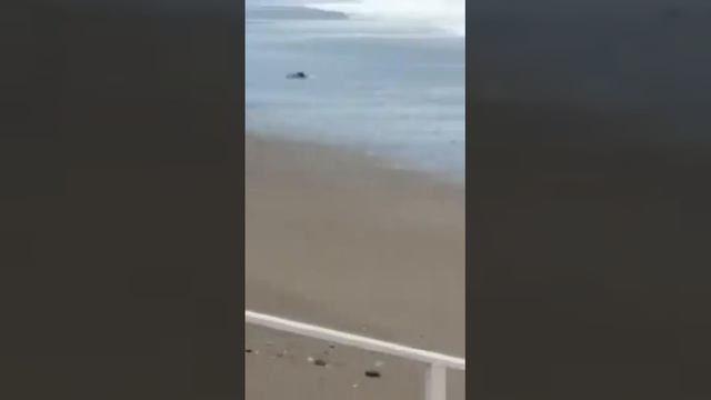 Черное море,Ольгинка, 3 июня, где лето,🤔 смотреть онлайн