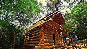 ПЕРВЫЙ НАШ МЕД В ТАЙГЕ. ВАРИМ ТУШЕНКУ, ДОСТРАИВАЕМ  ИЗБУ.