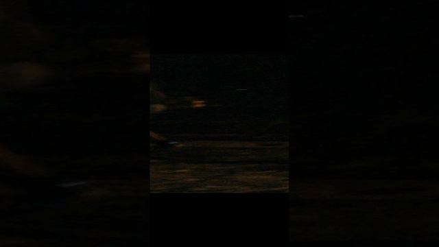 VID_20240913_201015.mp4