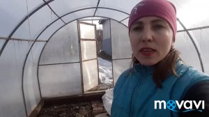 ПОСЕВ КАПУСТЫ ПОД СНЕГ!❄❄#рассада#семена#капуста