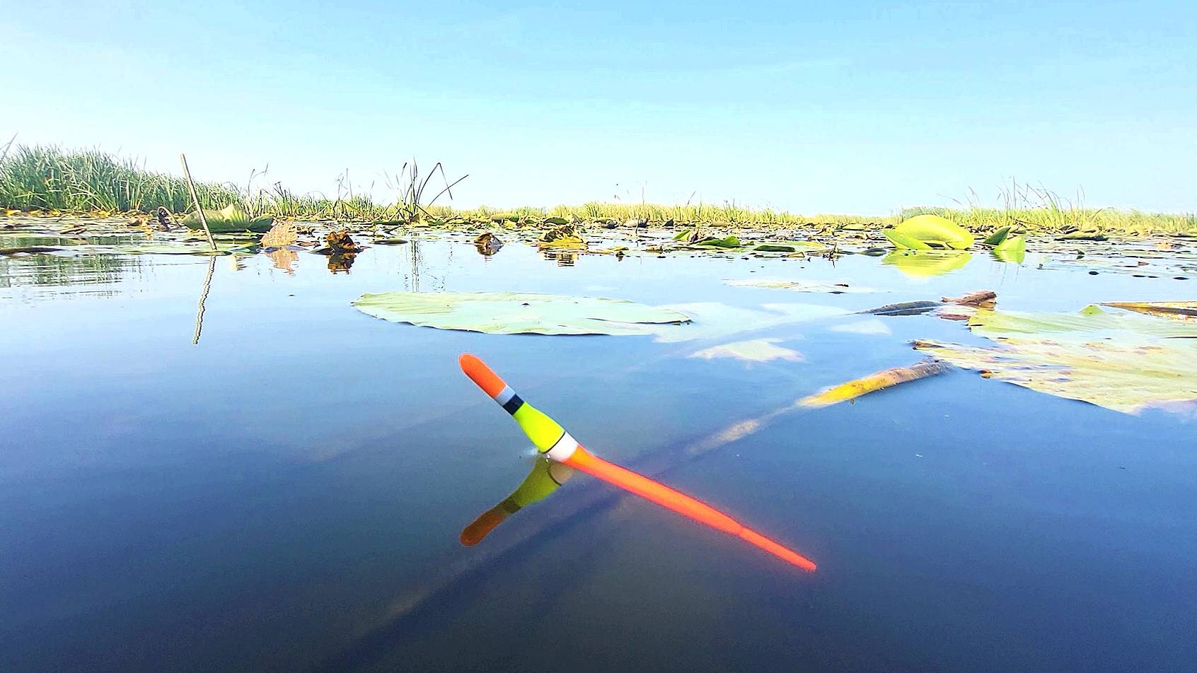 ЗАКИНУЛ ПОПЛАВОК В САМЫЕ КУВШИНКИ И... Рыбалка на Карася на удочку смотреть онлайн