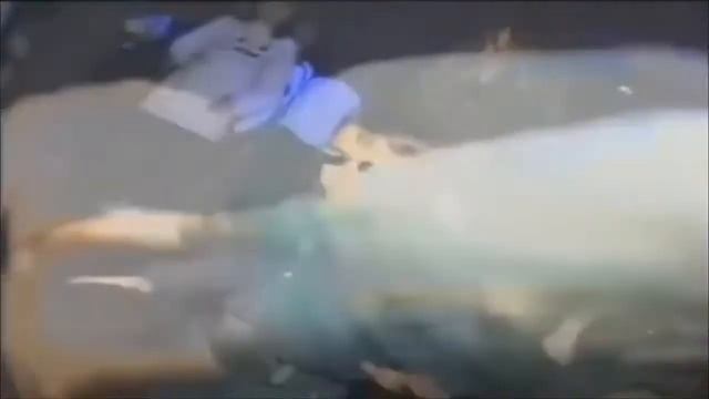 Ai ai ai ur little pillar men смотреть онлайн