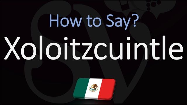 How to Pronounce Xoloitzcuintle? (CORRECTLY) Mexican Hairless Dog Breed Name Pronunciation смотреть онлайн