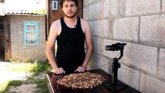 МИДИИ ХОЛОДНОГО КОПЧЕНИЯ ПОД ПИВАС смотреть онлайн