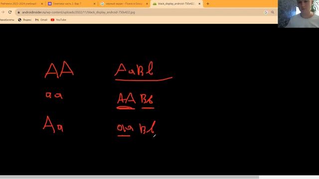 Разминка + пошаговый алгоритм как решать задачи по генетике смотреть онлайн