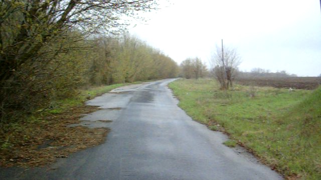 Панорама с птичками смотреть онлайн