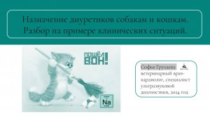 Диуретики собакам и кошкам: что важно знать? |Какие диуретики лишь ухудшат состояние кардиопациента?