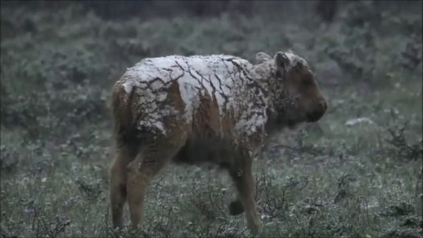 the most beautiful Quran Recitation|| Heart Touching || Really emotional ||