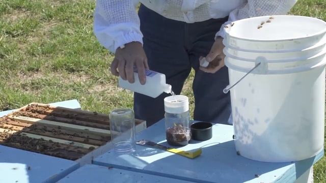 Анализ на заклещеваность Как УЗНАТЬ, сколько КЛЕЩЕЙ в семье