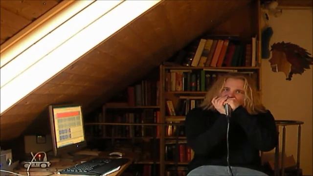 HARMONICA BOOGIE in C смотреть онлайн