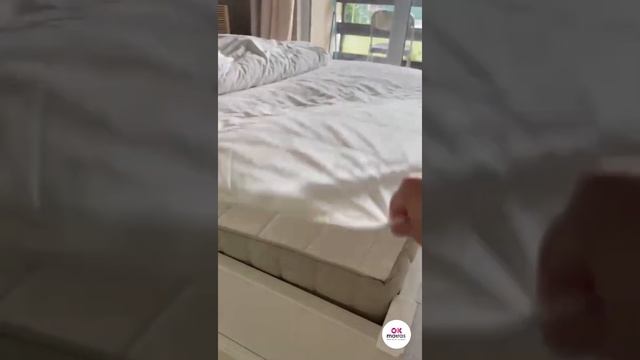 Уборка с заботой о природе