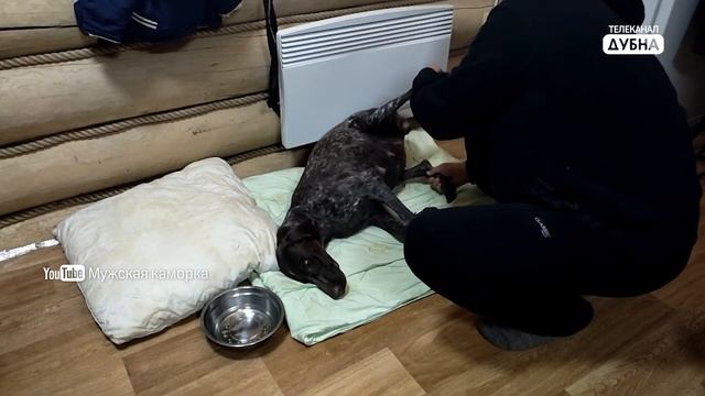 Научить охотиться на зайца, принять роды у собаки, приготовить дикую утку смотреть онлайн