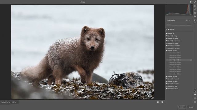 Aplicando presets Photoshop 2023 смотреть онлайн