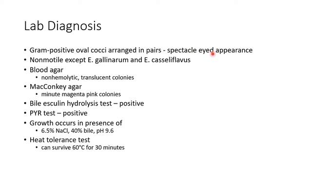Enterococcus - Microbiology смотреть онлайн