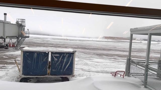 Поездка в Украину на Новый год под угрозой! Рейс переносили 4 раза, но самолёт так и не прилетел?? смотреть онлайн