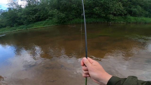 Тайные тропки / Лесная река , прогулка за царь рыбой / За Хариусом / Спиннинг смотреть онлайн