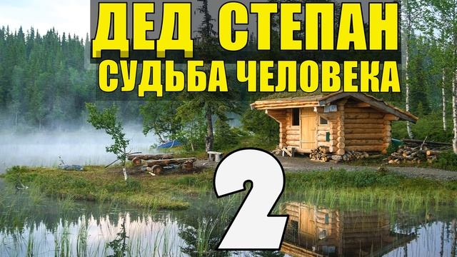 0822 - ДЕД СТЕПАН _ НА ФРОНТЕ _ ВОЕННЫЙ ГОСПИТАЛЬ _ ДЕД РАЗВОДИТСЯ _ СУДЬБА ЧЕЛОВЕКА 2 смотреть онлайн