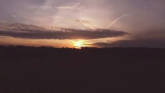 T-FEST - ФИОЛЕТОВОЕ НЕБО | CLIP BY SHVAYDERZ смотреть онлайн