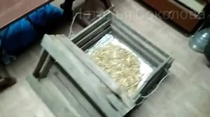 КВОЧКА/Как посадить квочку на яйца/ПЕРЕСАДКА на новое место и ...КАКОЙ ЖЕ РЕЗУЛЬТАТ?