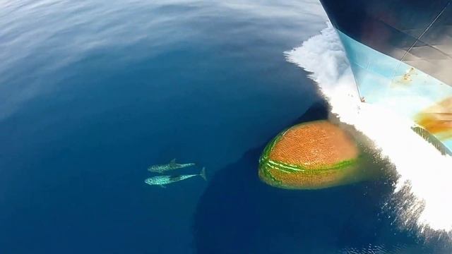 море, романтика) смотреть онлайн