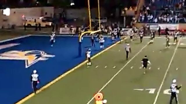 Winnipeg Blue Bombers vs Hamilton Tiger Cats Will Ford 17 yard TD Run смотреть онлайн