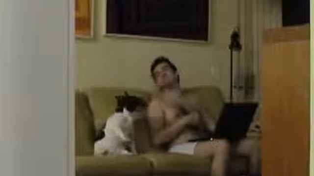 Жена тайком сняла видео, как муж танцует с собакой.Dog dancing hip hop on the couch ORIGINAL смотреть онлайн