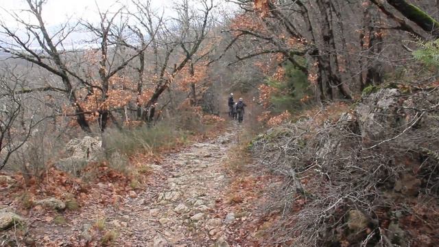Крымский маршрут. Река Боса. 2022 г. Четвертый день января. смотреть онлайн