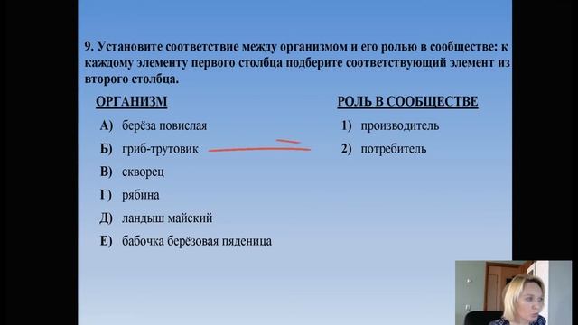 Функциональные группы в экосистеме. Биология 11 класс. смотреть онлайн