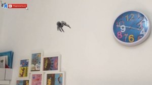 ПЫЛЕСОС против ГИГАНТСКОГО ПАУКА / Веселые Детки Против Пылесоса  VACUUM CLEANER vs SPIDER / Я Ясин