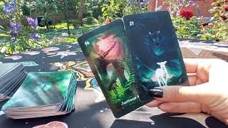 🔮🧿 Что происходит у врага⁉️ будет ли нападать 📍📌 смотреть онлайн