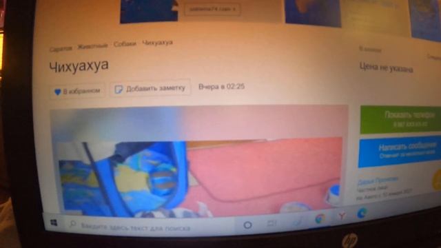РАЗВОД НА АВИТО / ОБМАН ПРИ ПРОДАЖЕ ЩЕНКОВ (МОШЕННИКИ) / MAGIC PETS FAMILY ЧИХУА (БАНДИТ И БУБЛИК) смотреть онлайн