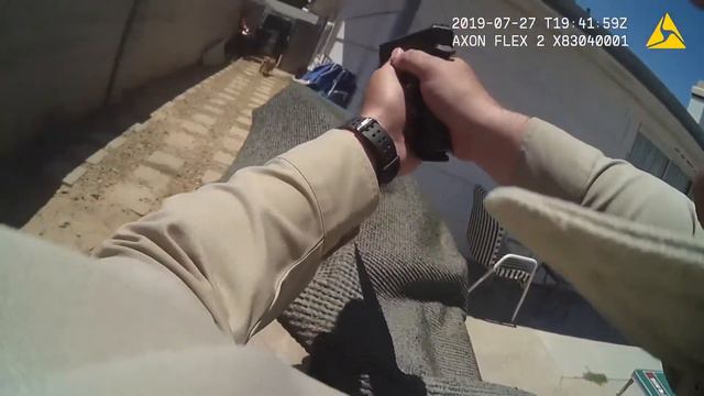 BODY CAM VIDEO: Graphic footage shows Metro officer fatally shooting dog during July 27 investigati смотреть онлайн