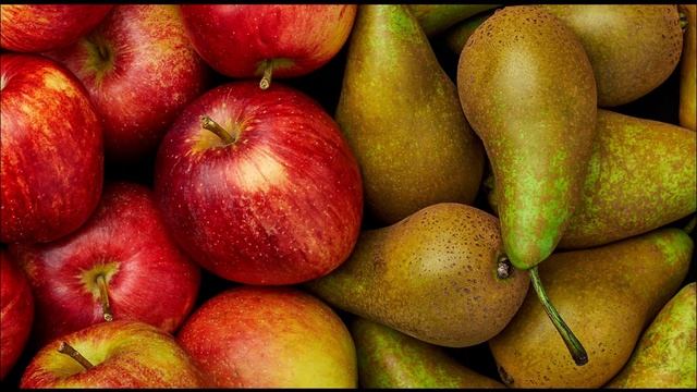 Когда и как садить яблони и груши смотреть онлайн