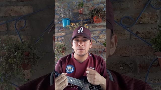 si veo a tu mama (ukelele cover) смотреть онлайн