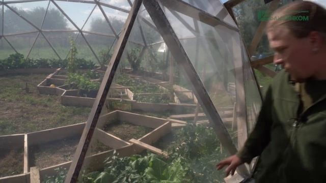 Купольная теплица Антона Сухарева смотреть онлайн