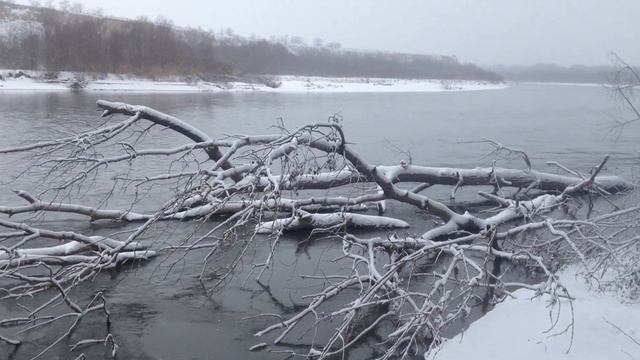 Река Терек. Зима. смотреть онлайн