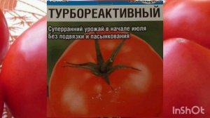 Ультраранние, низкорослые сорта томатов. Семена сезона 2022года.