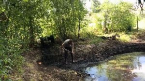 ?Как очистить запущенный пруд/озеро своими руками от ила