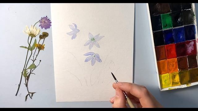 ПЕРВОЦВЕТ. Как нарисовать весенние цветы Пролески. Акварель для начинающих. Пошаговое рисование смотреть онлайн