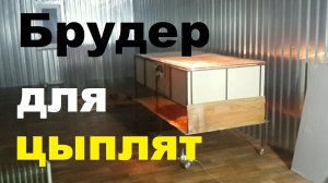 Большой брудер для цыплят.