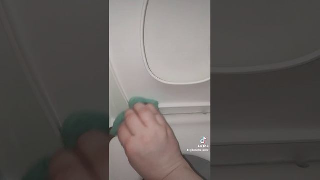 вечерняя уборочка туалета утёнок +комет+пемолюкс Asmr ?cleantok? Cleaning? Amazing? Babl ??