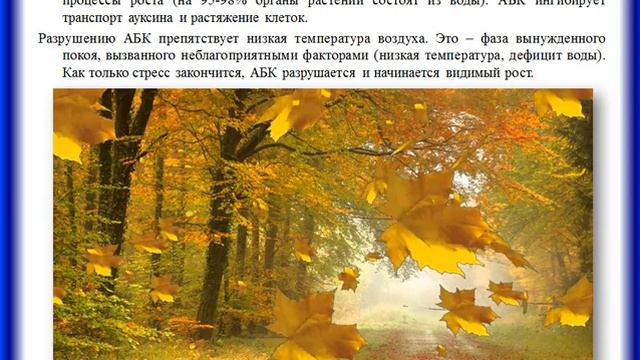 Фитогормоны. Абсцизовая кислота смотреть онлайн