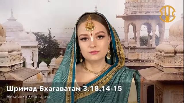 Центр развития харинамы смотреть онлайн