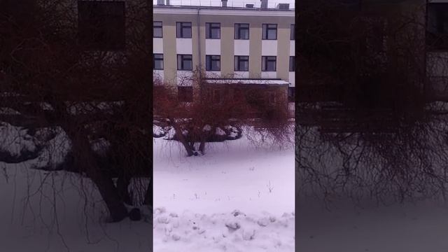 Ива Матсудана - роскошная красавица смотреть онлайн