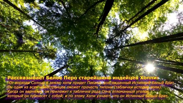 Индейцы Хопи - КОНЕЦ СВЕТА в 2024г. и приход Белого Брата смотреть онлайн