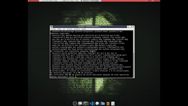 Debian XFCE. Configurar Docker y temas. Instalación Visual Studio Code, Python3, Tkinter y OpenShot смотреть онлайн