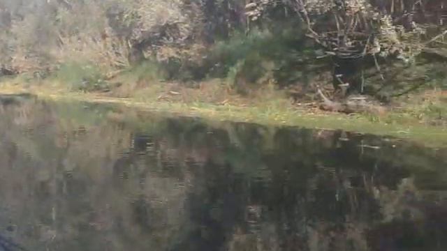Рыбалка на реке шиш #40 12.09.2012 смотреть онлайн