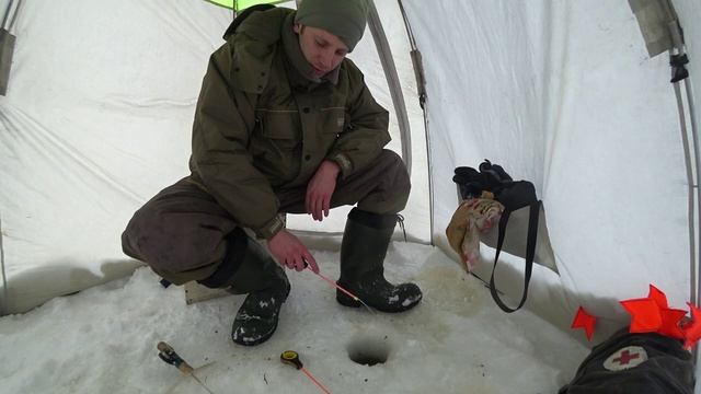 Сход крупной рыбы, стадо лосей, шашлыки... Рыбалка на Зюраткуле! смотреть онлайн