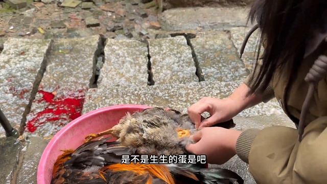 婆娘得知周末放假能回娘家马不停蹄跑去婆家大扫荡，这媳妇能要？ смотреть онлайн